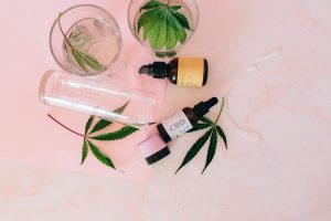 CBD tinctures and cannabis plants