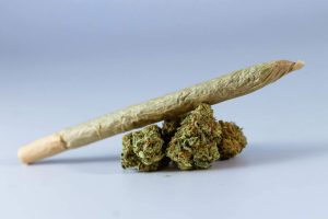 Cannabis joint sitting on top of cannabis flower
