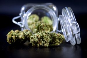 Cannabis bud poured out of a storage jar
