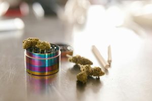 Cannabis buds with a grinder